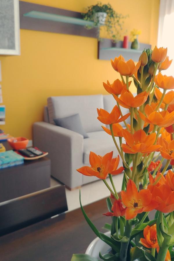 Bed & Breakfast Tiziana Castellammare del Golfo Exterior photo